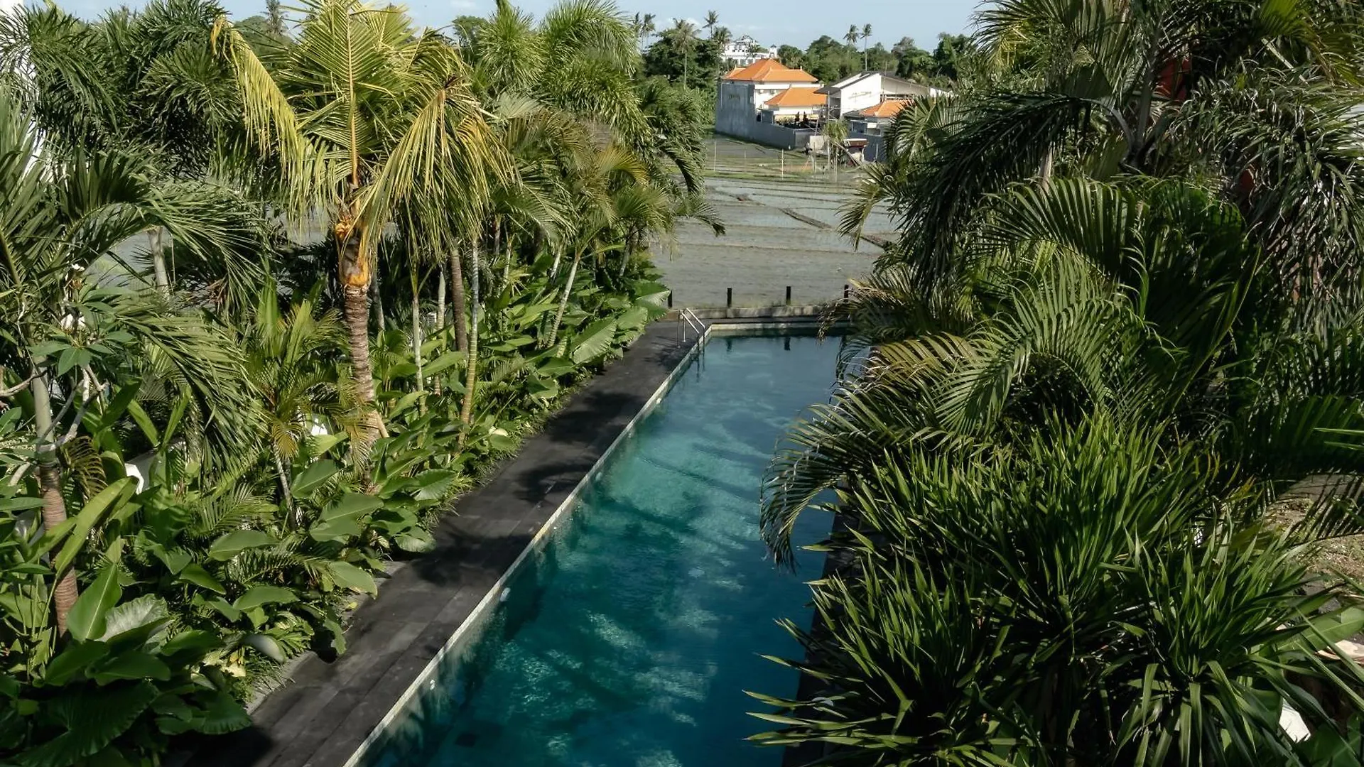 Amo Residences Canggu